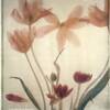 Anna Tomczak - Cascade / Encaustic Cascade
