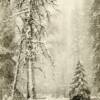 Tim Rudman- Snowstorm Yosemite/ split toned Lith