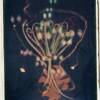 Anna Tomczak - Airplant / Encaustic Transfer