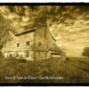 Barn & Tree Gold - Dan Burkholder