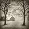 Dan Burkholder - Barn & Trees in Snow / Gold over Platinum