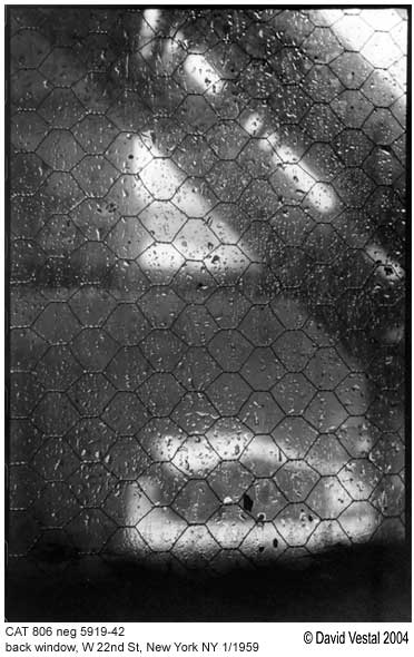 David Vestal